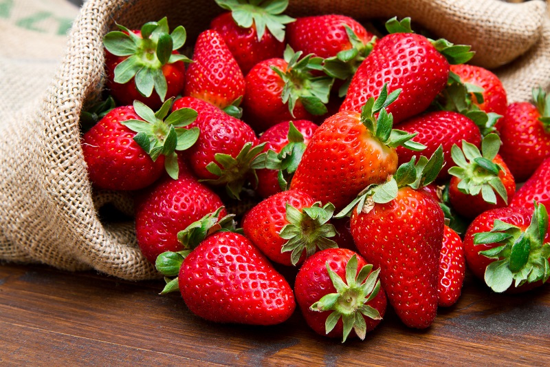 Vitamin C and E in strawberry are good for dog’s digestive system